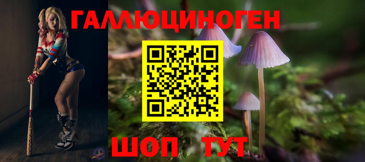 где купить   Галлюциногенные грибы MAGIC MUSHROOMS  Вход с VPN  Пугачёв 